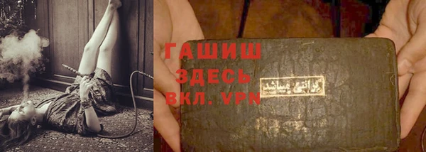 хмурый Белокуриха