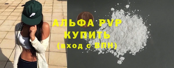 хмурый Белокуриха