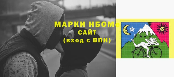 хмурый Белокуриха