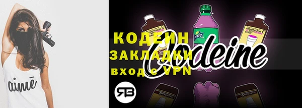 хмурый Белокуриха