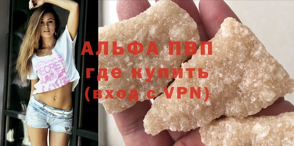 хмурый Белокуриха