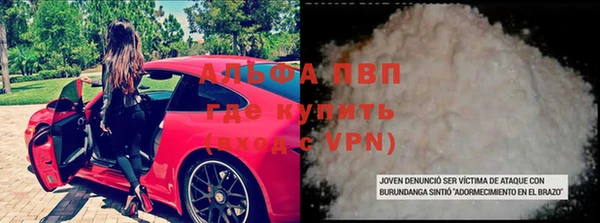 хмурый Белокуриха