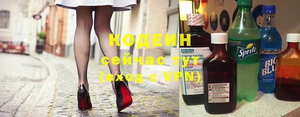 хмурый Белокуриха