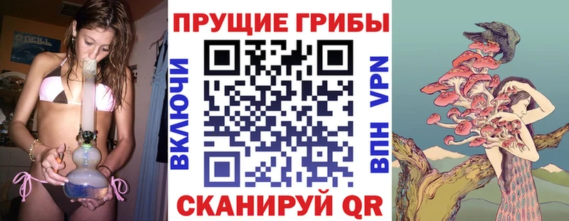 Галлюциногенные грибы Magic Shrooms Тайга